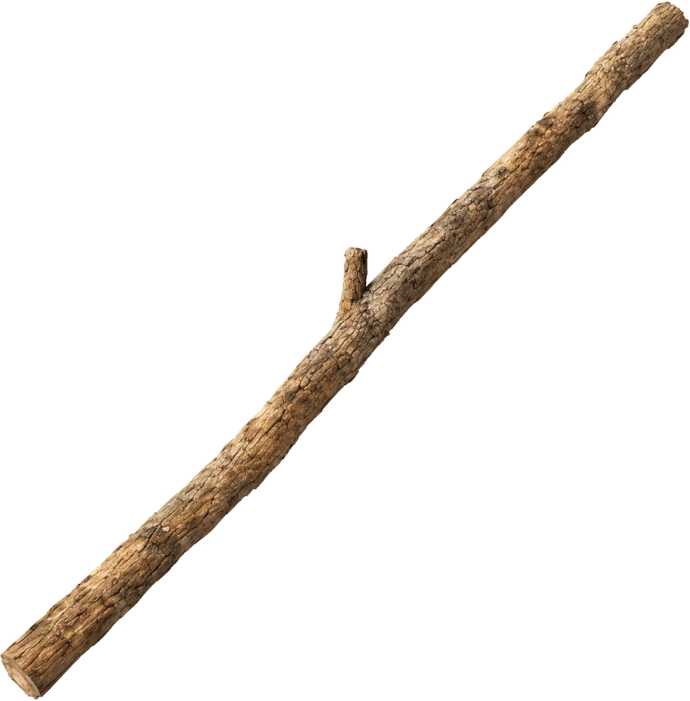 A plain twig